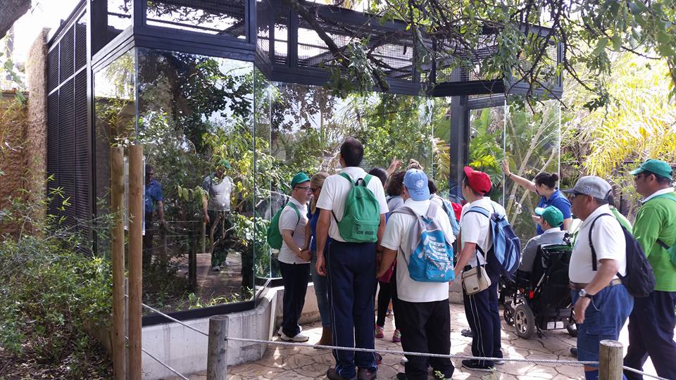 zoo2