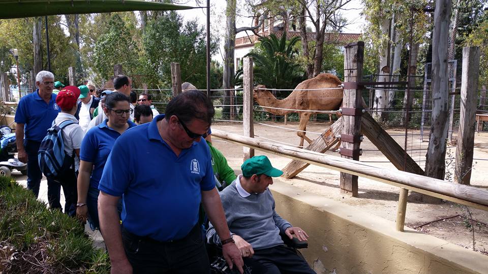 zoo3
