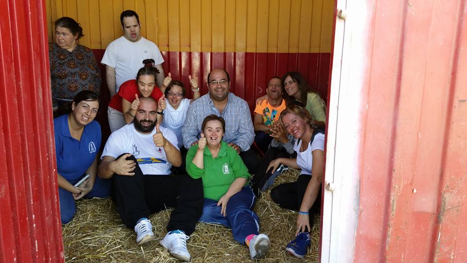 caballos-2