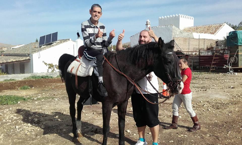 caballos-4